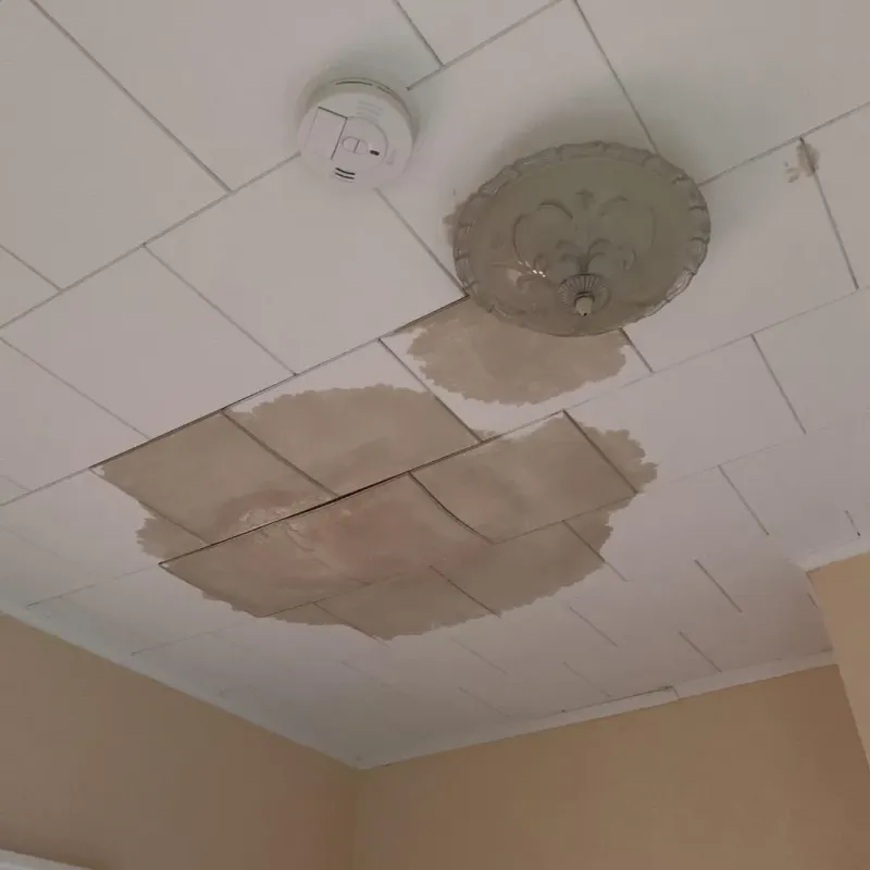Ceiling Water Damage Repair in McLeansville, NC