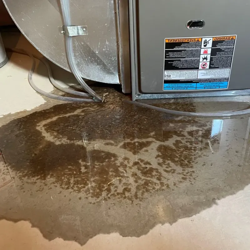 Pipe Burst and Leak Restoration in McLeansville, NC