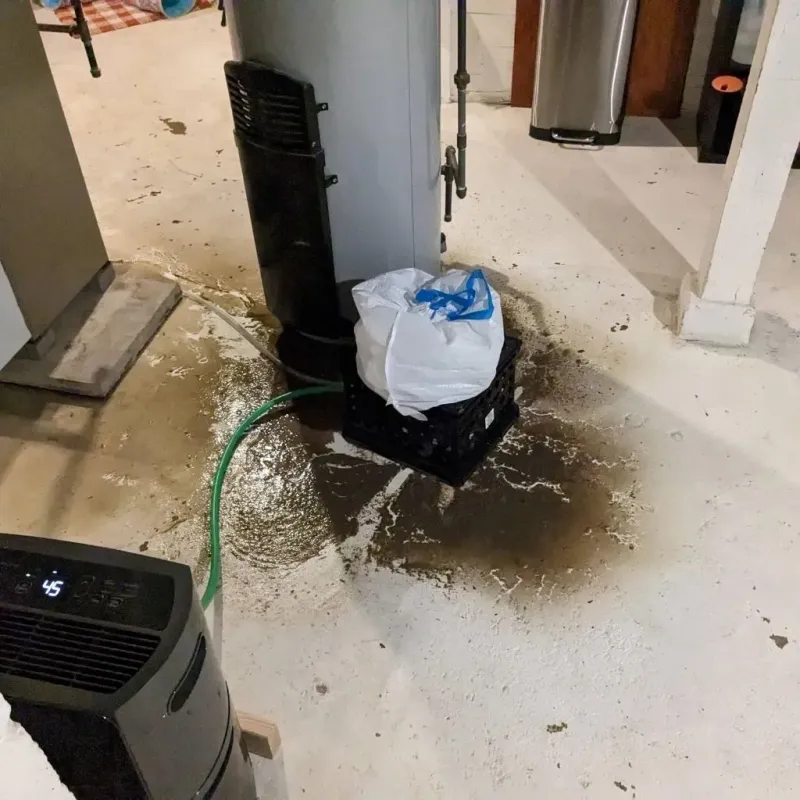 Sewage Backup Cleanup Service in McLeansville, NC